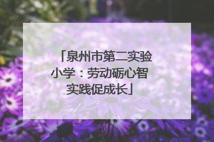 泉州市第二实验小学：劳动砺心智实践促成长